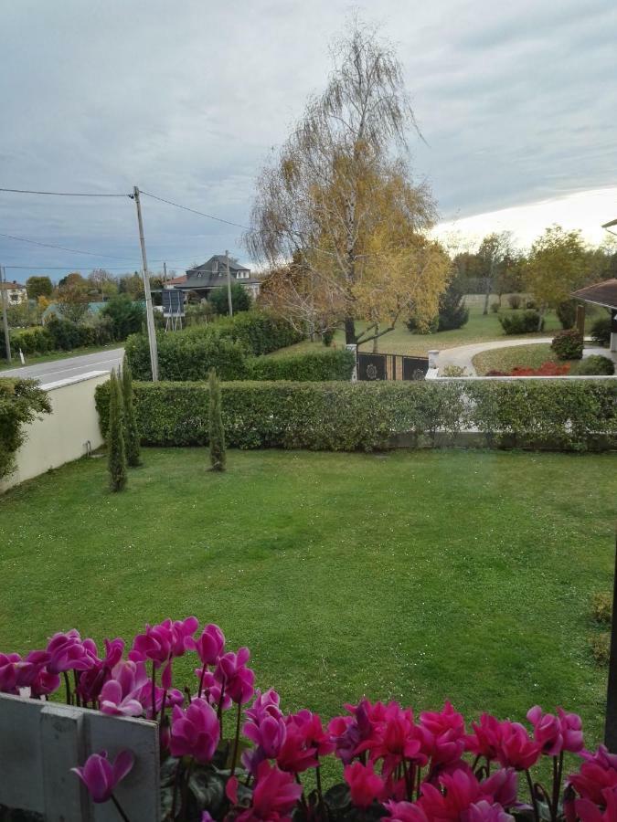 Casa Zanier Aviano Lägenhet San Martino di Campagna Exteriör bild